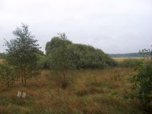 Działka rolna Tokary. Zdjęcie 2