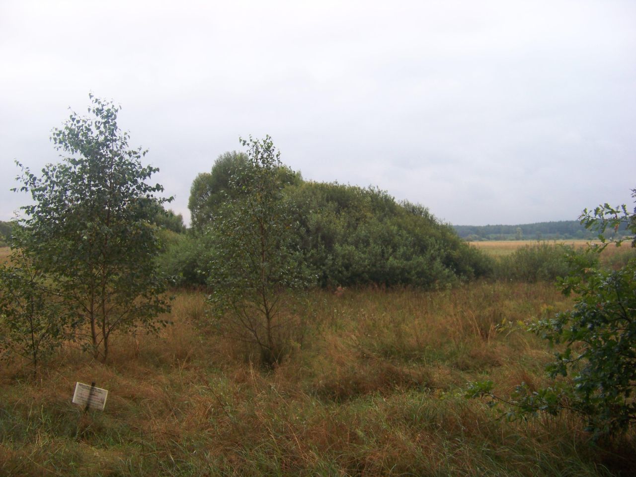 Działka rolna Tokary. Zdjęcie 3