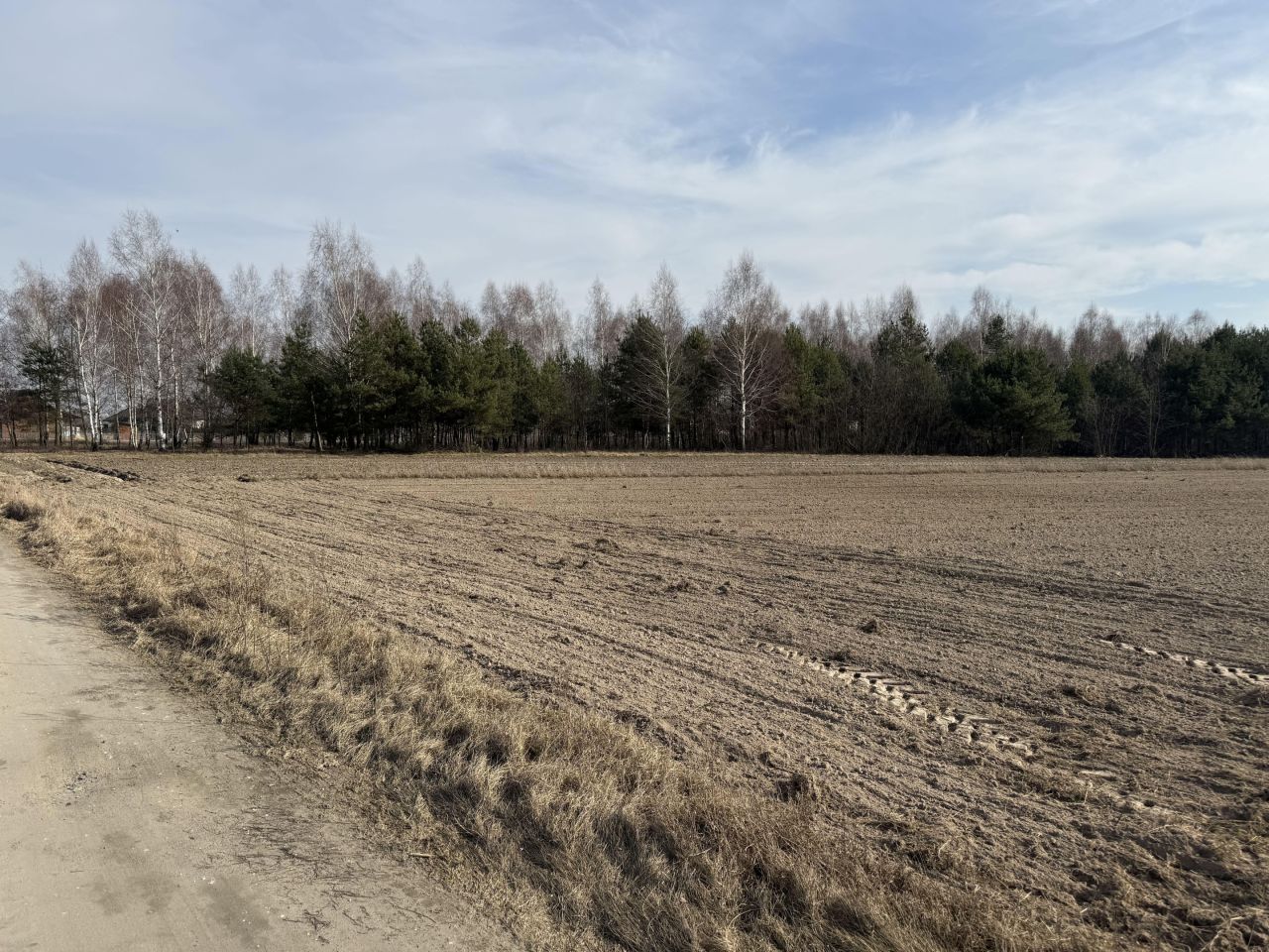 Działka budowlana Suszno, ul. Modrzewiowa. Zdjęcie 4