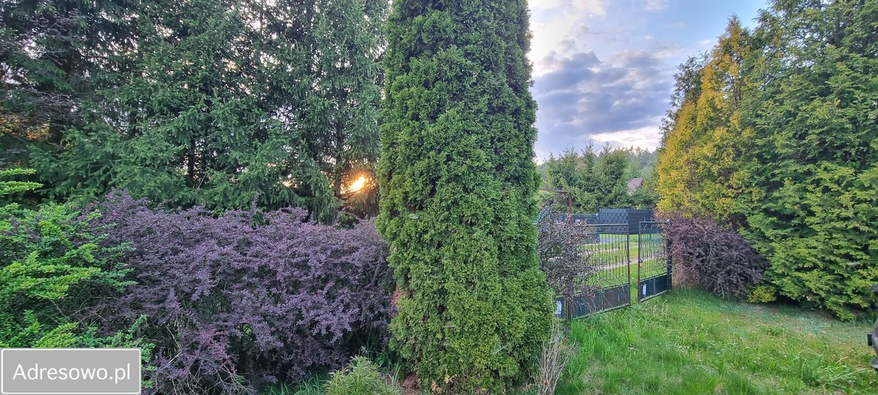 dom wolnostojący, 3 pokoje Kamieńczyk, ul. Borówkowa. Zdjęcie 3