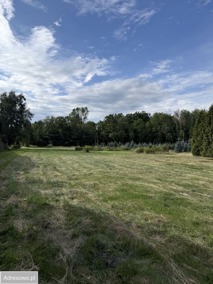Działka siedliskowa Pruszyn, ul. Łosicka. Zdjęcie 3