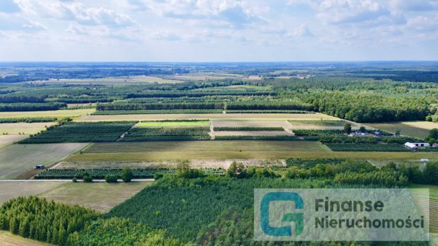 Działka siedliskowa Wierzchy. Zdjęcie 5