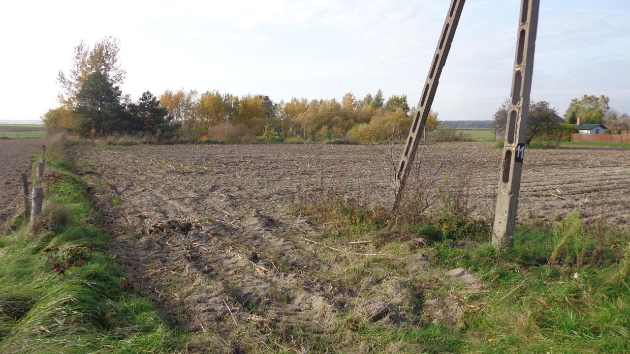Działka rolno-budowlana Teremiec. Zdjęcie 7