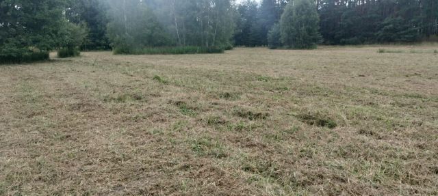 Działka rolna Domaradz Paryż. Zdjęcie 1