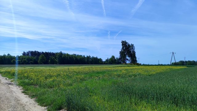Działka rekreacyjna Karlin, ul. Słoneczna. Zdjęcie 1