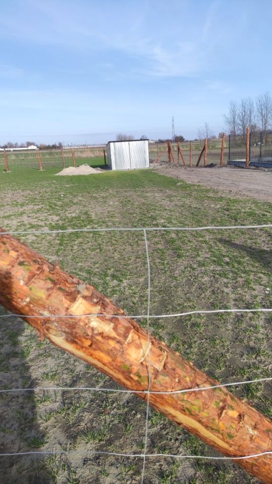 Działka budowlana Inowrocław, ul. ks. Bogdana Gordona. Zdjęcie 2