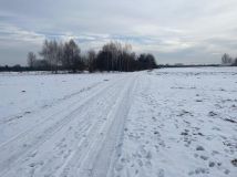 Działka rolna Dziecinów. Zdjęcie 2