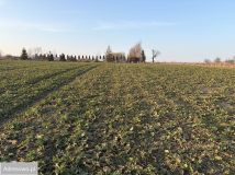 Działka budowlana Witoszów Dolny. Zdjęcie 1