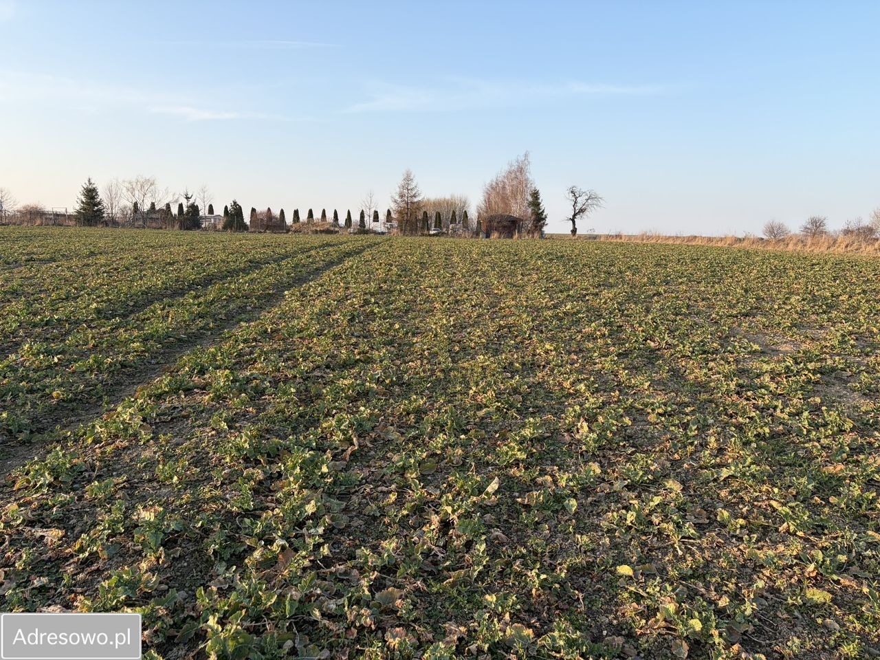 Działka budowlana Witoszów Dolny. Zdjęcie 2