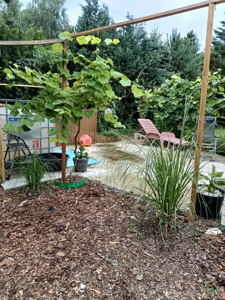 Działka rod Kamieniec Wrocławski, ul. Działkowa. Zdjęcie 8