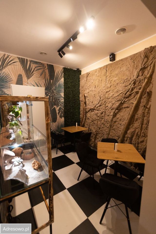 Lokal Wrocław Stare Miasto. Zdjęcie 4