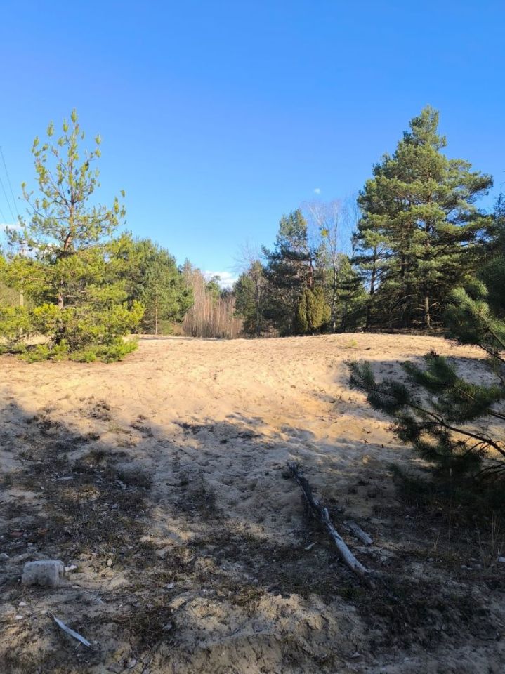 Działka budowlana Michałów-Reginów, ul. Piaskowa. Zdjęcie 7