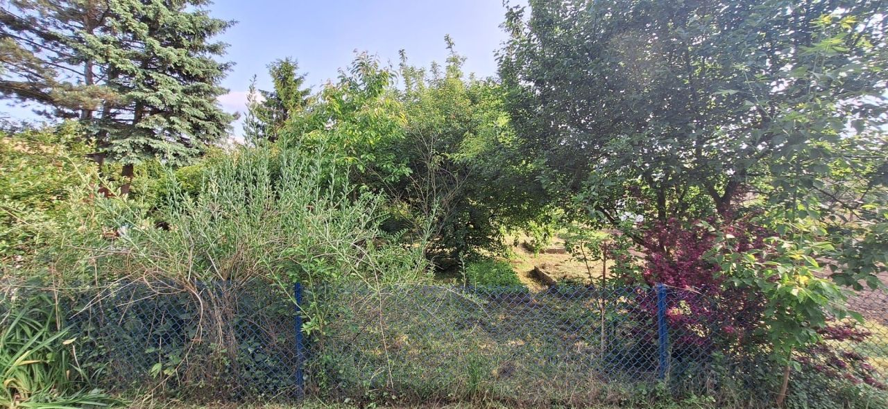 Działka rod Łęczyca. Zdjęcie 5