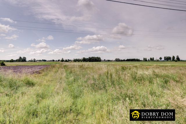 Działka budowlana Hajnówka. Zdjęcie 6