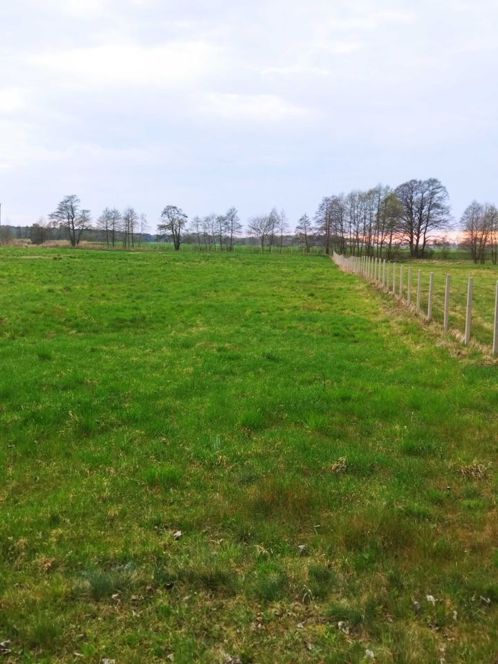 Działka rolna Stary Widzim. Zdjęcie 3