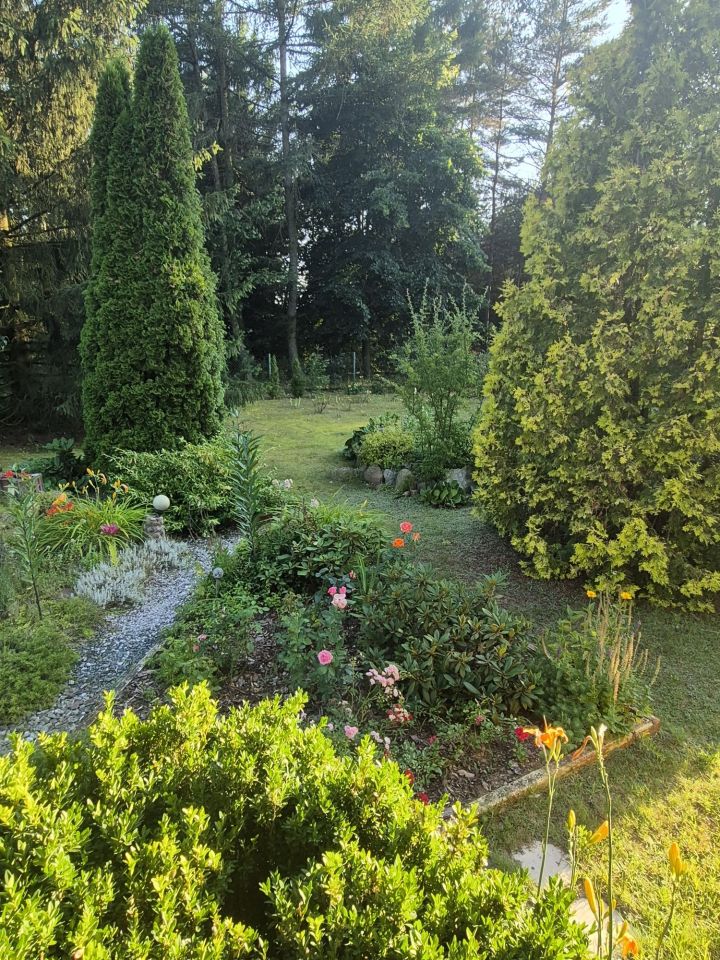 Działka budowlana Adamów-Wieś. Zdjęcie 7