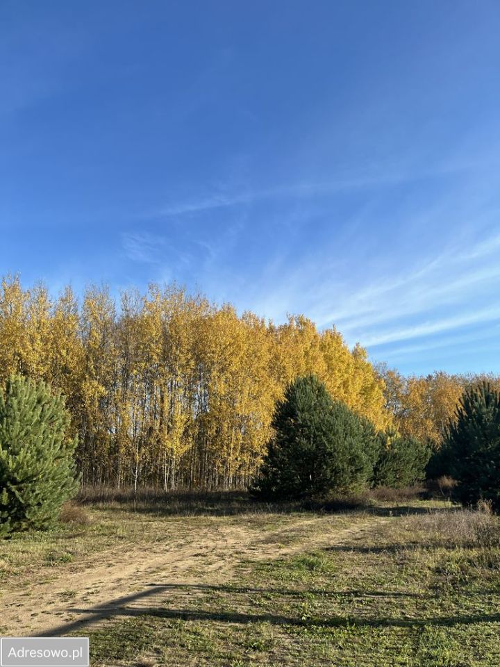 Działka budowlana Owczegłowy. Zdjęcie 8