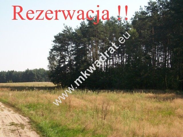 Działka rolna Budy Mszczonowskie. Zdjęcie 2