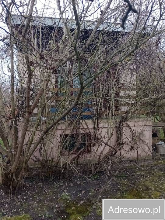 Działka rod Kielce, ul. Gustawa Morcinka. Zdjęcie 4