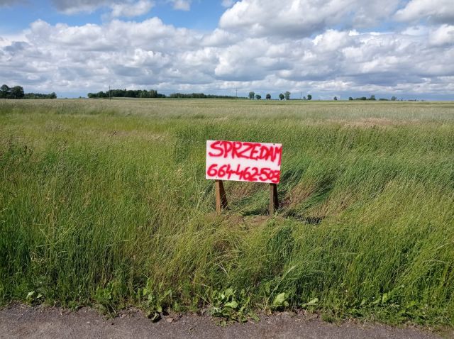 Działka budowlana Cieciułów. Zdjęcie 1