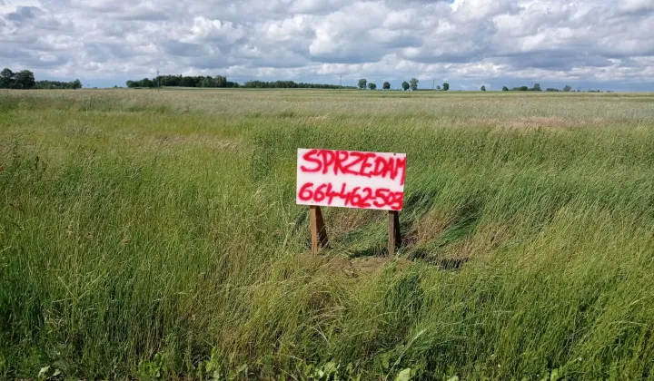 Działka budowlana Cieciułów