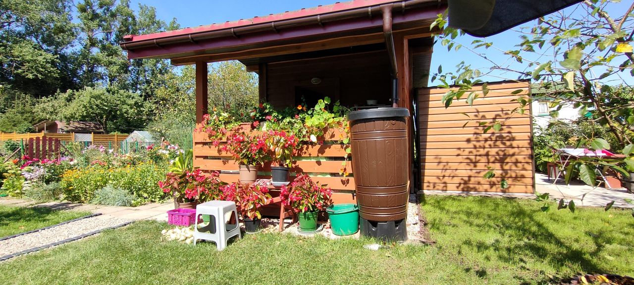 Działka rod Olecko, ul. Aleje Lipowe