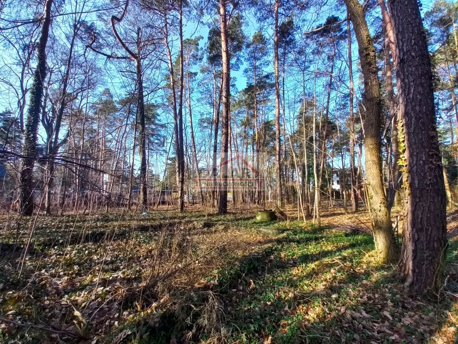 Działka budowlana Zalesie Górne. Zdjęcie 3