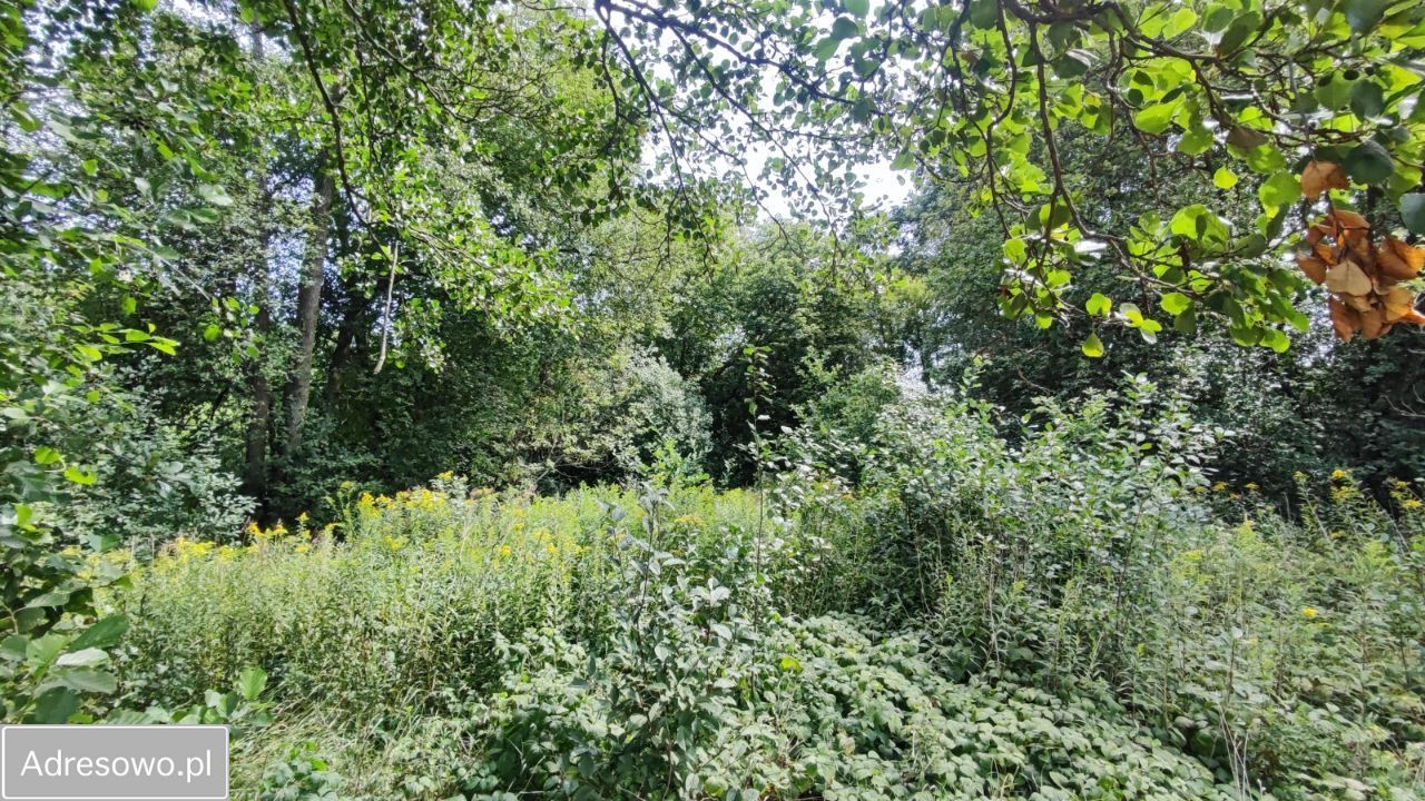 Działka rolna Secymin Polski. Zdjęcie 5
