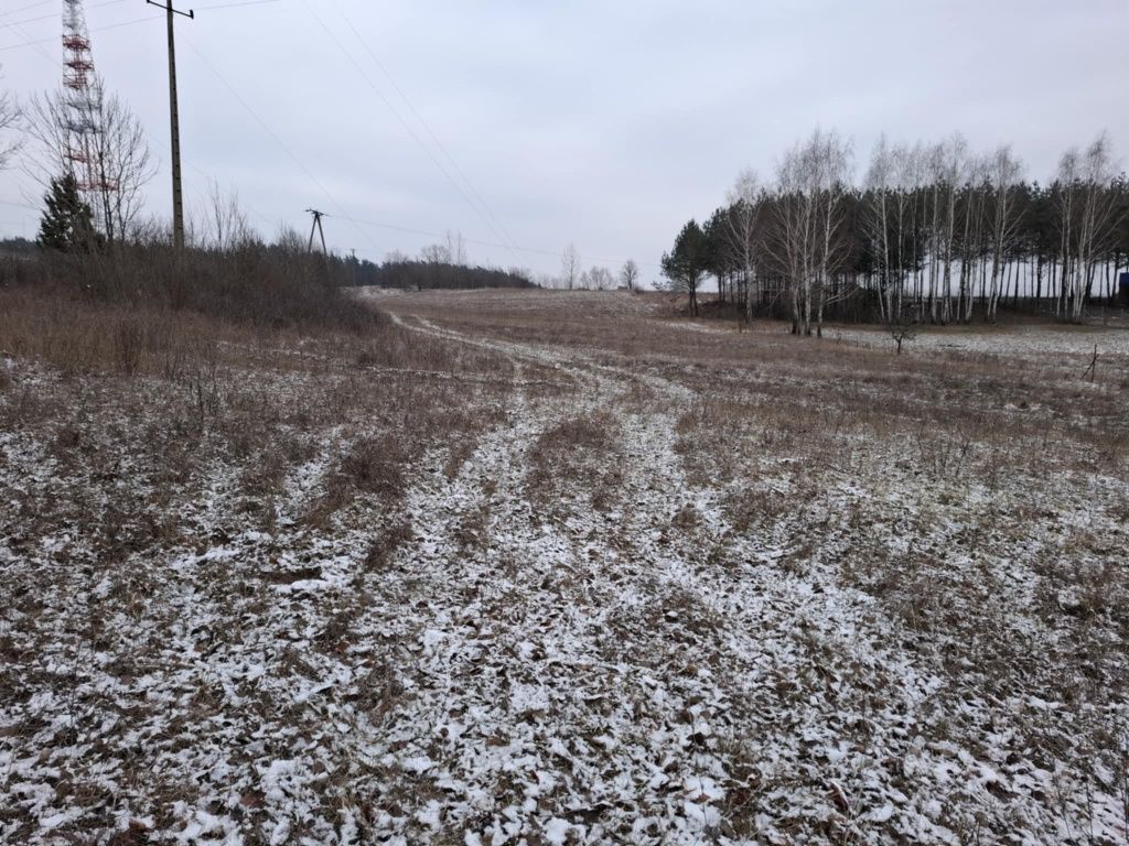 Działka budowlana Krynice. Zdjęcie 5