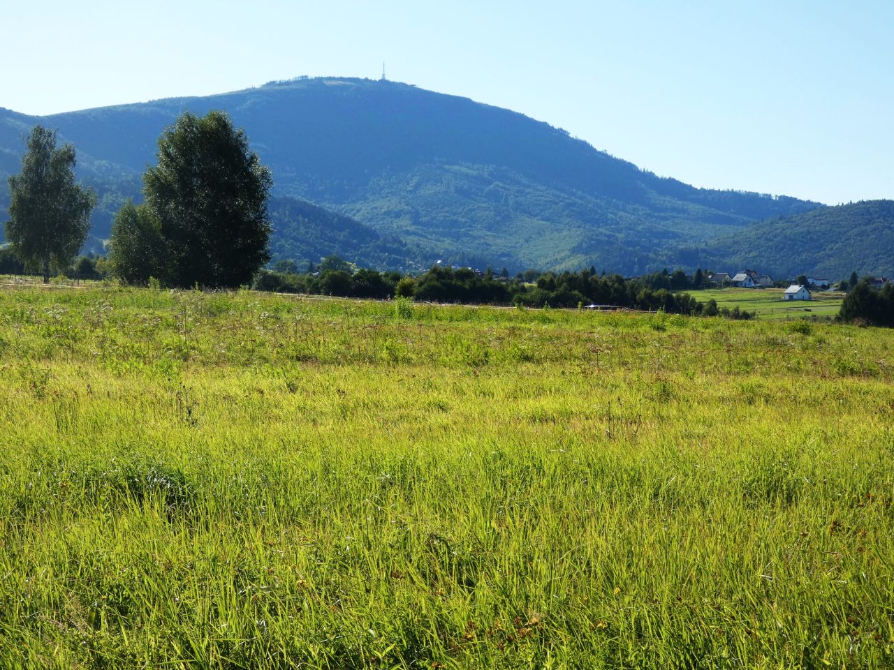 Działka budowlana Lipowa, ul. Promienna. Zdjęcie 1