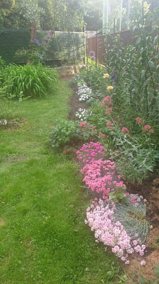 Działka rod Warszawa Marymont, ul. Klaudyny. Zdjęcie 19