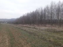 Działka rekreacyjna Hucisko Nienadowskie. Zdjęcie 4