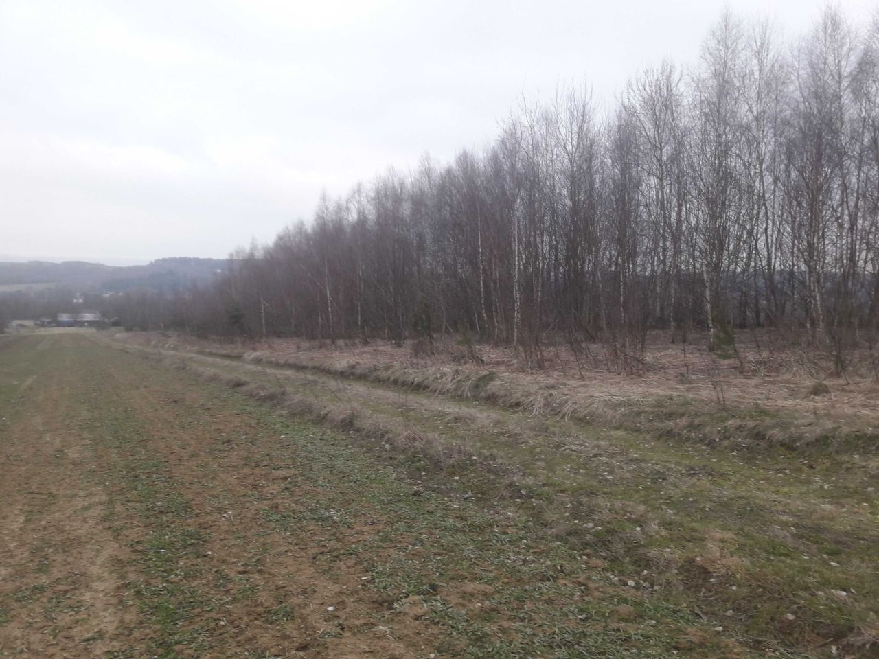 Działka rekreacyjna Hucisko Nienadowskie. Zdjęcie 5