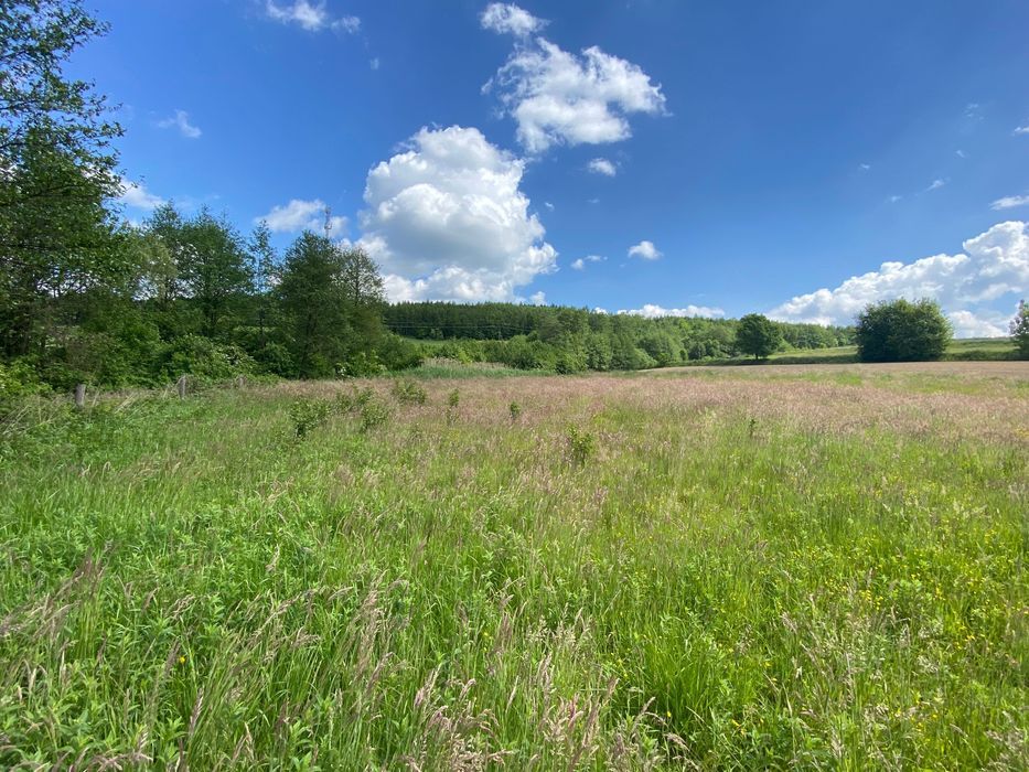 Działka rolno-budowlana Nienadowa. Zdjęcie 6