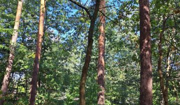 Działka inwestycyjna Warszawa Wawer, ul. Marty