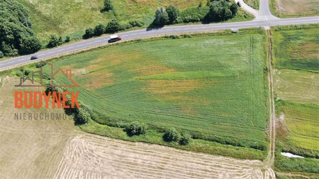 Działka rolna Krupy. Zdjęcie 8