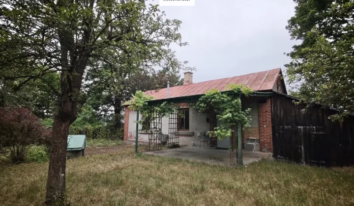 dom wolnostojący Grzebowilk, ul. Lipowa