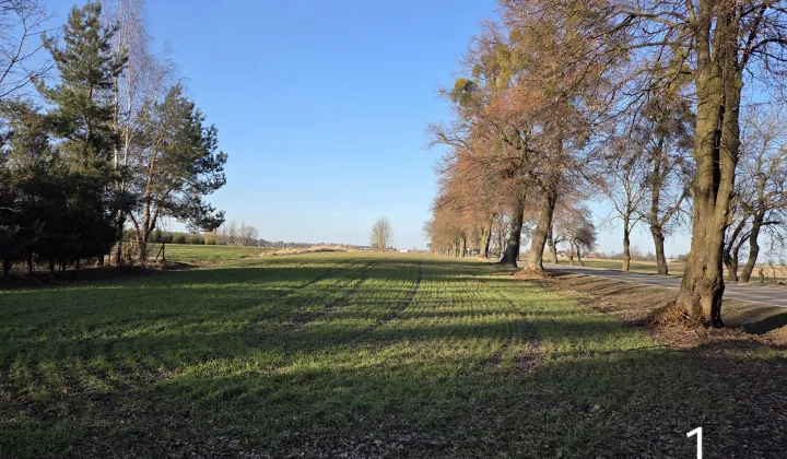 Działka budowlana Strupin Mały, Strupin Mały