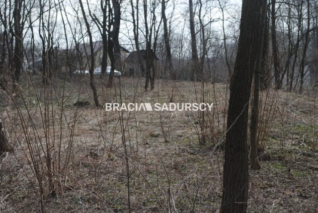 Działka leśna Malkowice. Zdjęcie 7