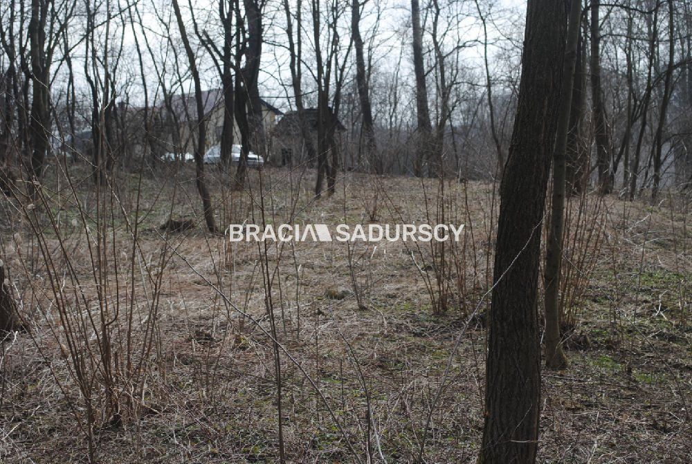 Działka leśna Malkowice. Zdjęcie 7