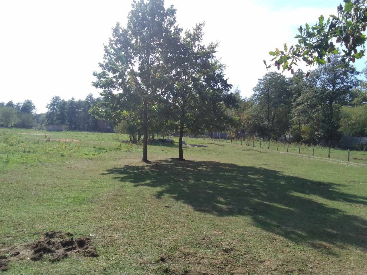 Działka budowlana Michałów-Reginów, ul. Polna. Zdjęcie 2