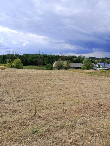 Działka rolno-budowlana Łukowa. Zdjęcie 1