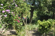 Działka rod Wrocław Śródmieście, ul. Odona Bujwida. Zdjęcie 1