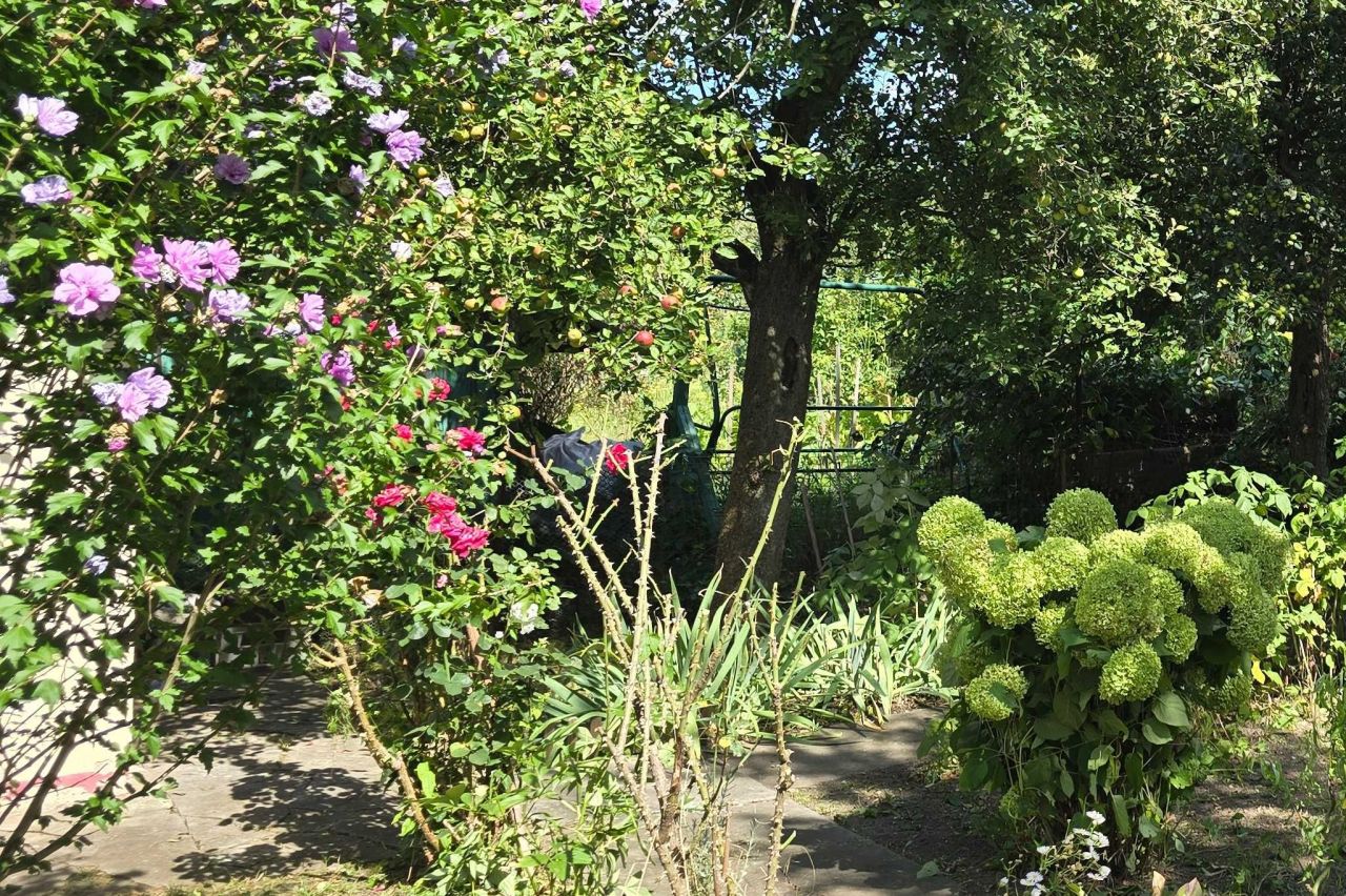 Działka rod Wrocław Śródmieście, ul. Odona Bujwida. Zdjęcie 2