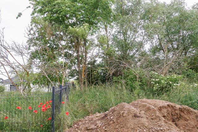 Działka budowlana Dobra, ul. Graniczna. Zdjęcie 11
