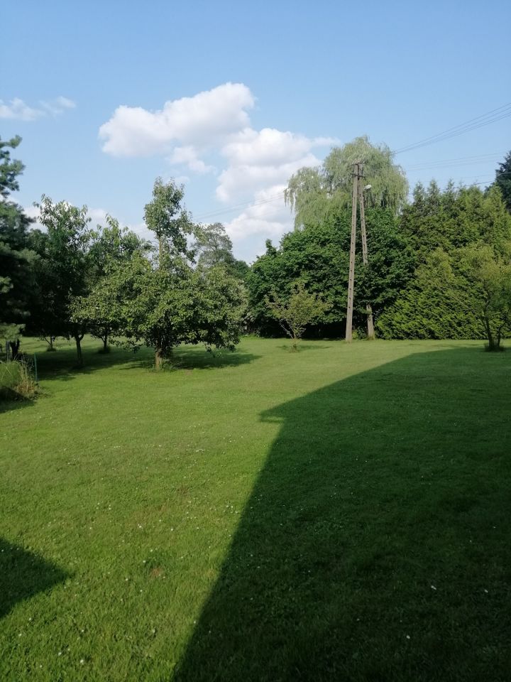 Działka rolno-budowlana Drużbice-Kolonia. Zdjęcie 2