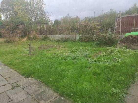 Działka rod Czernica. Zdjęcie 6