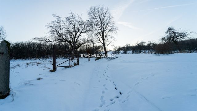 Działka inwestycyjna Czerna. Zdjęcie 18