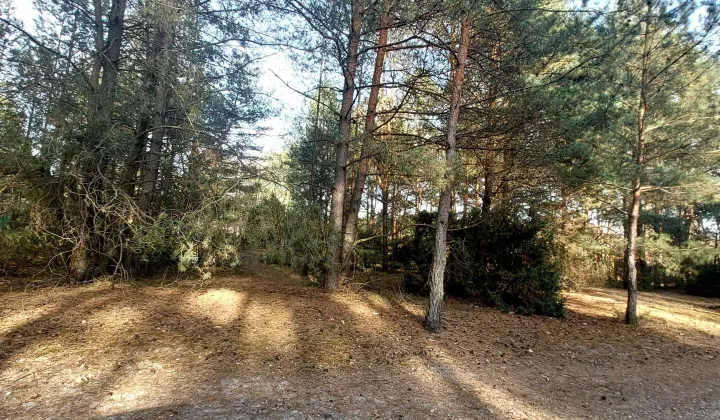 Działka budowlana Białobrzegi