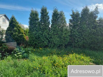 Działka rekreacyjna Szczecin, ul. Władysława Nehringa. Zdjęcie 1